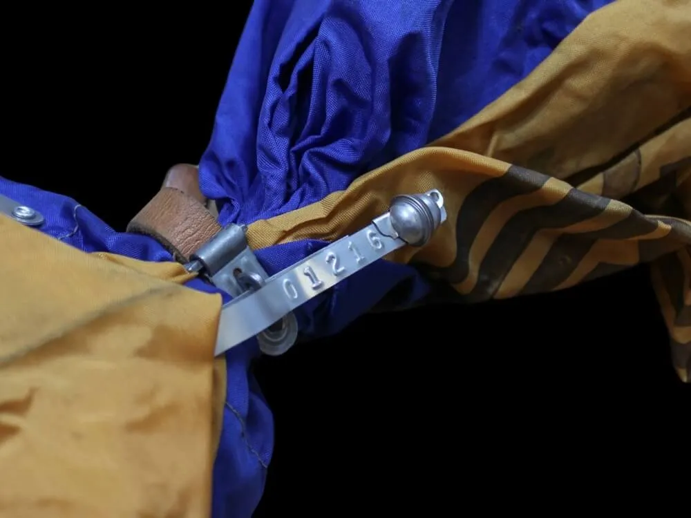 A truck driver quickly and easily clicking a strap seal into place, looking efficient.