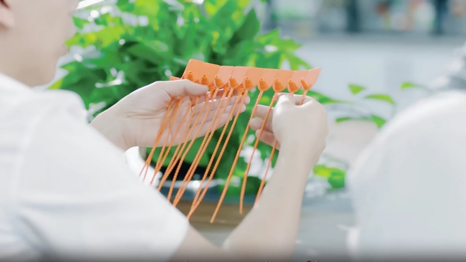 The Security Gap of a Fixed-Length Seal Showing a fixed-length seal.