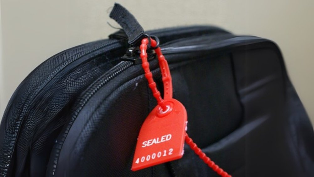 Assessing the Strength of an Adjustable Plastic Seal Showing the thick locking head and the sturdy, serrated tail of a high-quality adjustable seal.