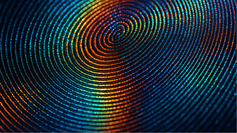 The Microscopic Structure of a Security Hologram A magnified close-up revealing the intricate, microscopic grooves on the surface of a security hologram.