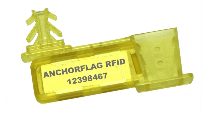 Warehouse conveyor belt scanning RFID seal automatically