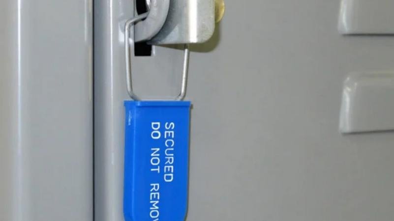 A padlock seal with a plastic body and a strong metal wire hasp for balanced security.