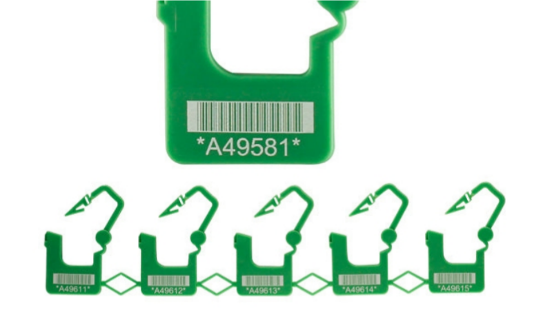 An image of a decision-making chart or checklist for selecting a security seal.